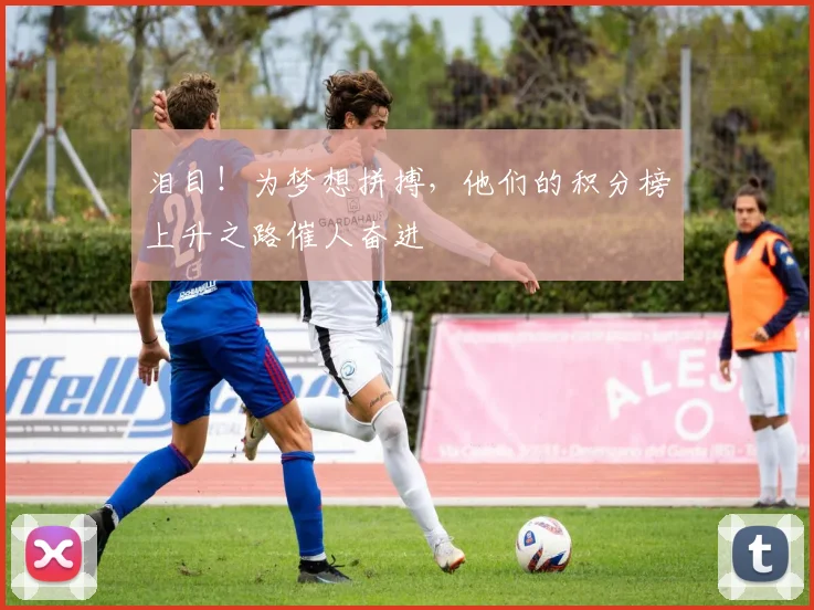 泪目！为梦想拼搏，他们的积分榜上升之路催人奋进