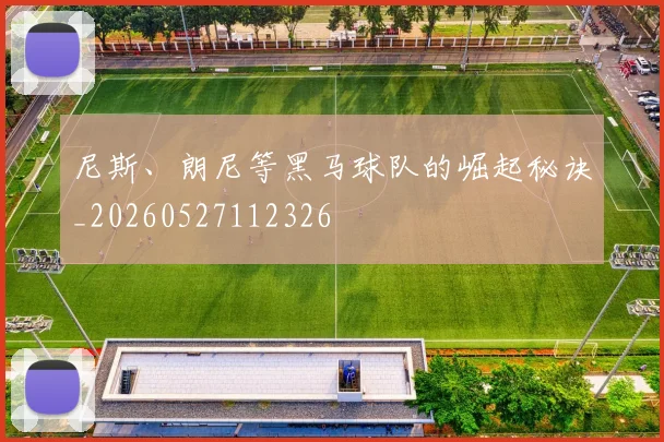尼斯、朗尼等黑马球队的崛起秘诀_20260527112326