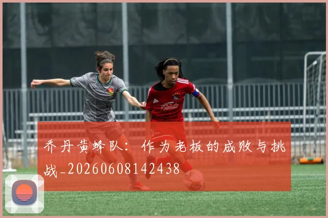 乔丹黄蜂队：作为老板的成败与挑战_20260608142438