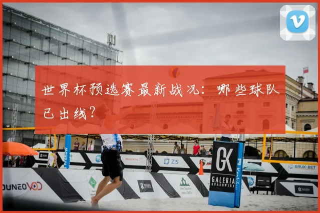 世界杯预选赛最新战况：哪些球队已出线？